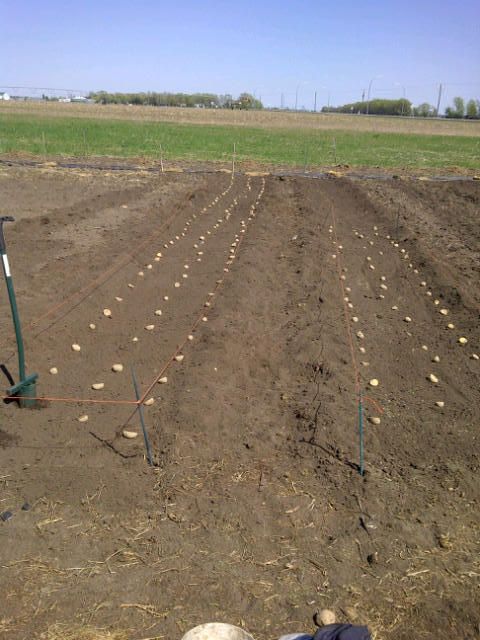  photo BigLake-20120426-00157.jpg